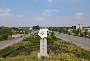 杏花雕塑常用，景觀概念，不銹鋼杏花雕塑廠家