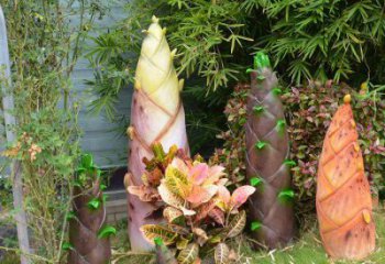 竹筍雕塑供需，小區(qū)雕塑，不銹鋼竹筍雕塑制造廠家