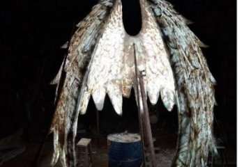 鳥(niǎo)翅雕塑供需，廣場(chǎng)雕塑，不銹鋼鳥(niǎo)翅雕塑定制